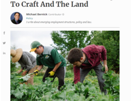 Autism Transition: Returning to Craft and the Land.