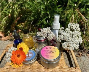 a sample Herbal Arts CSA box