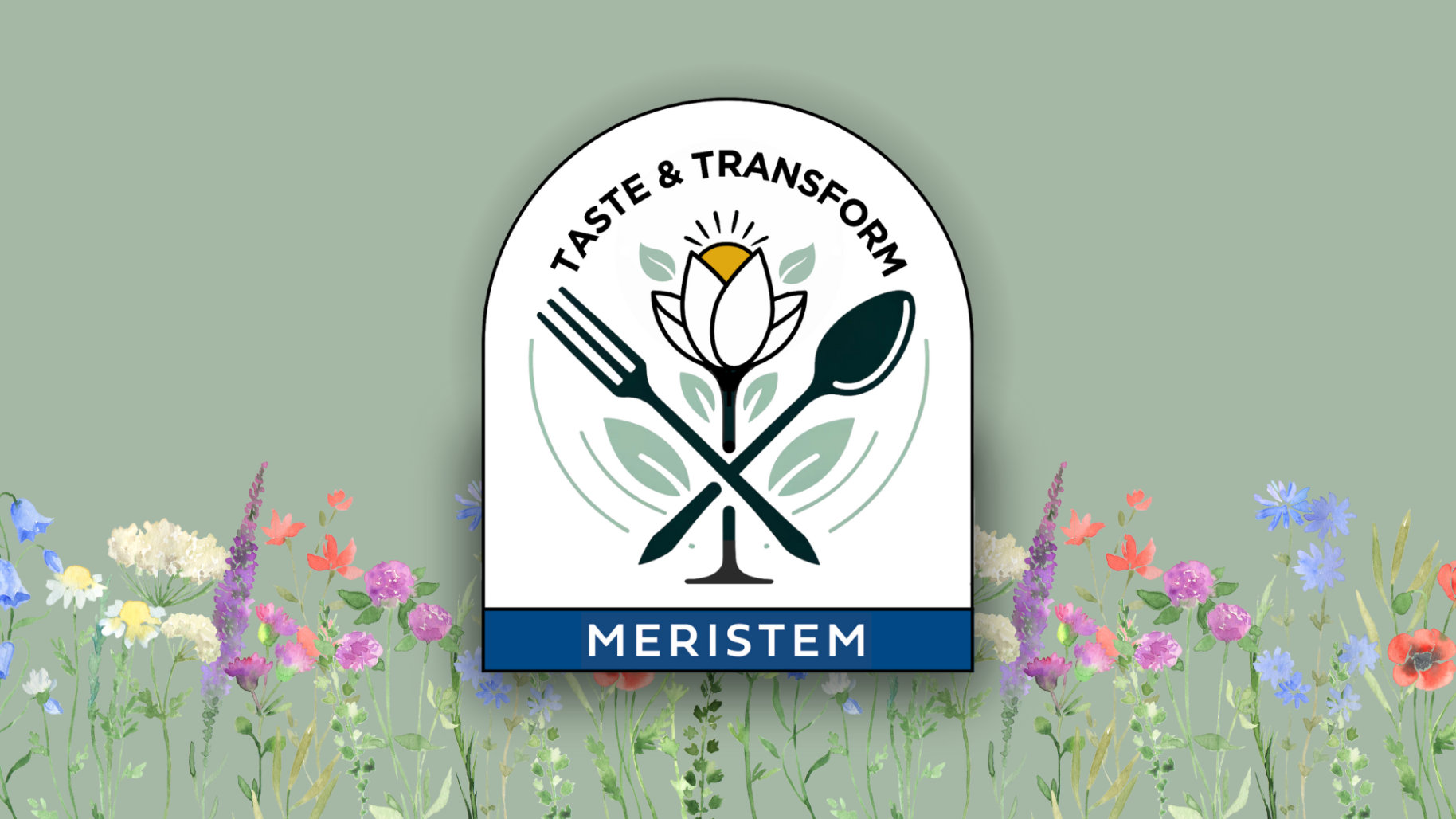 Taste & Transform Header (1)