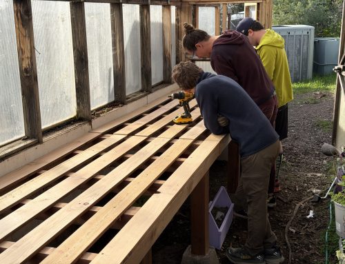 More Than a Table: Building Skills and Community in the Meristem Woodshop